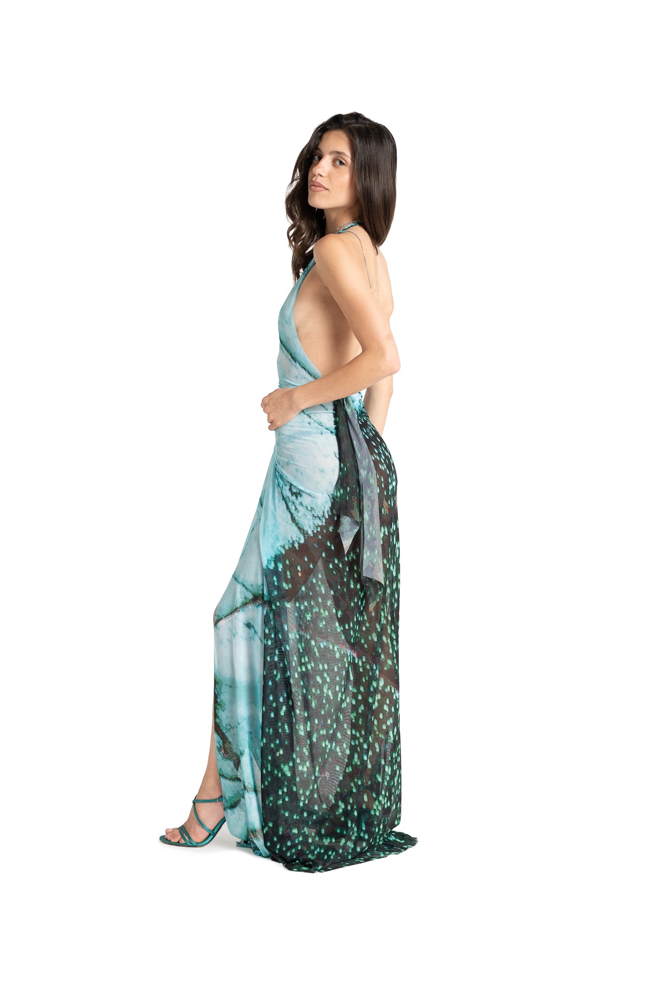 ANTONIA long BUTTERFLY print dress